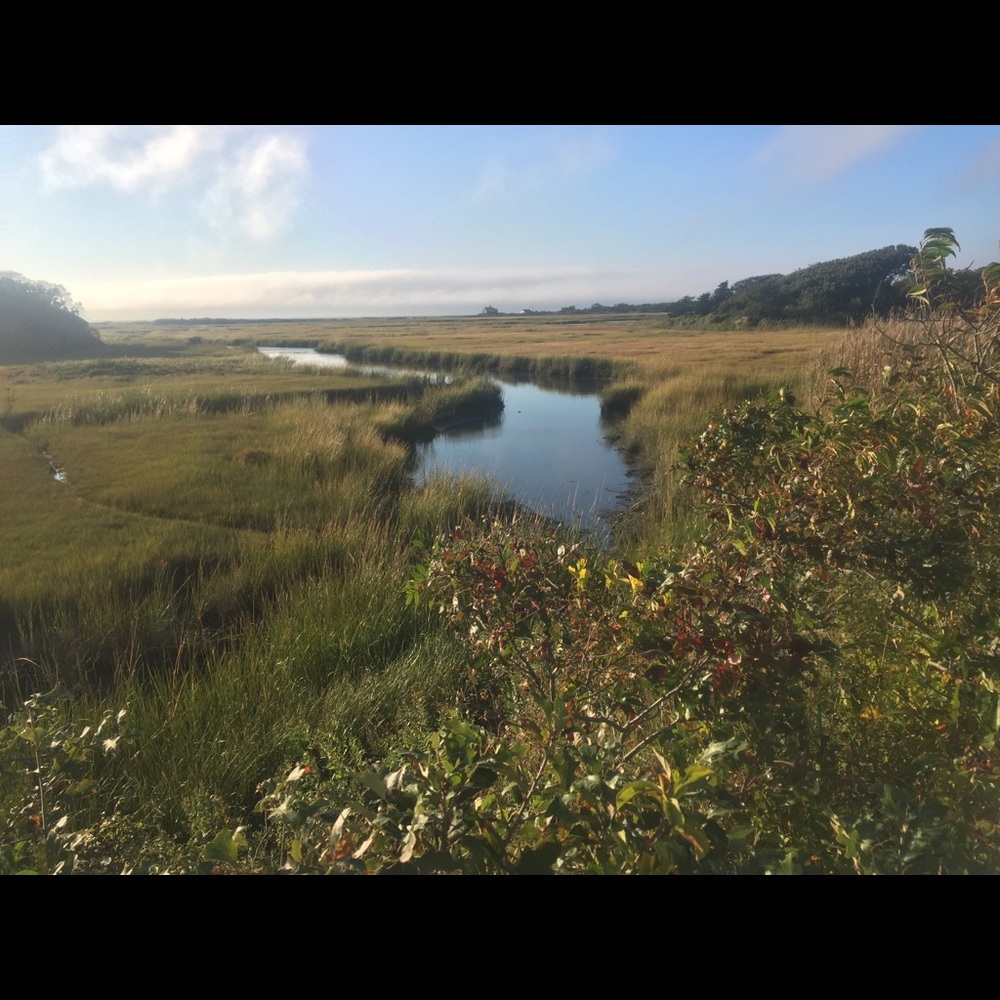 Meet your Posher, Dorinda